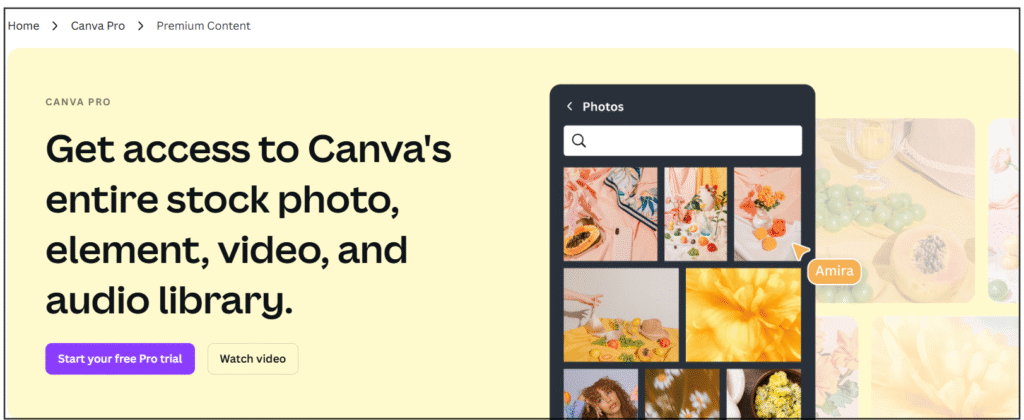 Canva Pro stock library with 100 million+ photos, videos, and audio