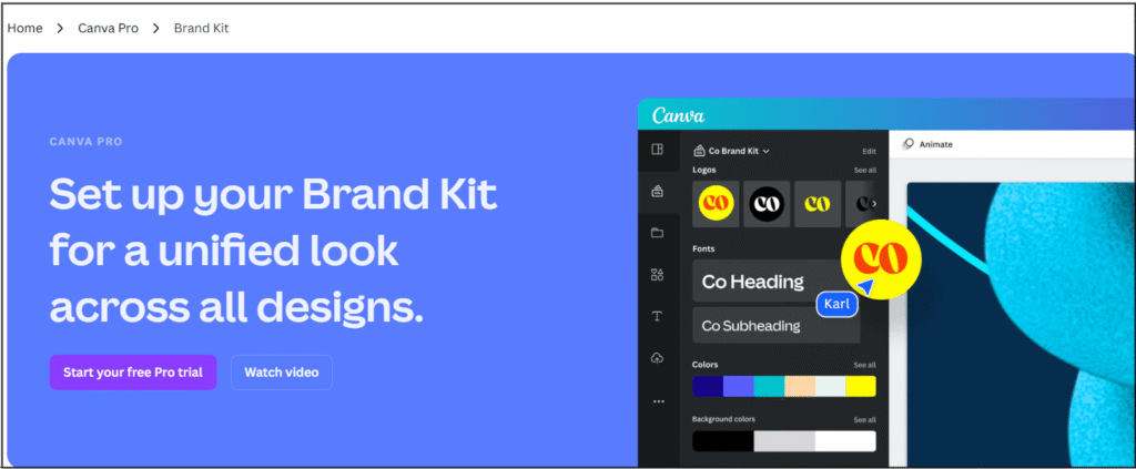 Canva Brand Kit with logos, fonts, and color palettes for consistent design