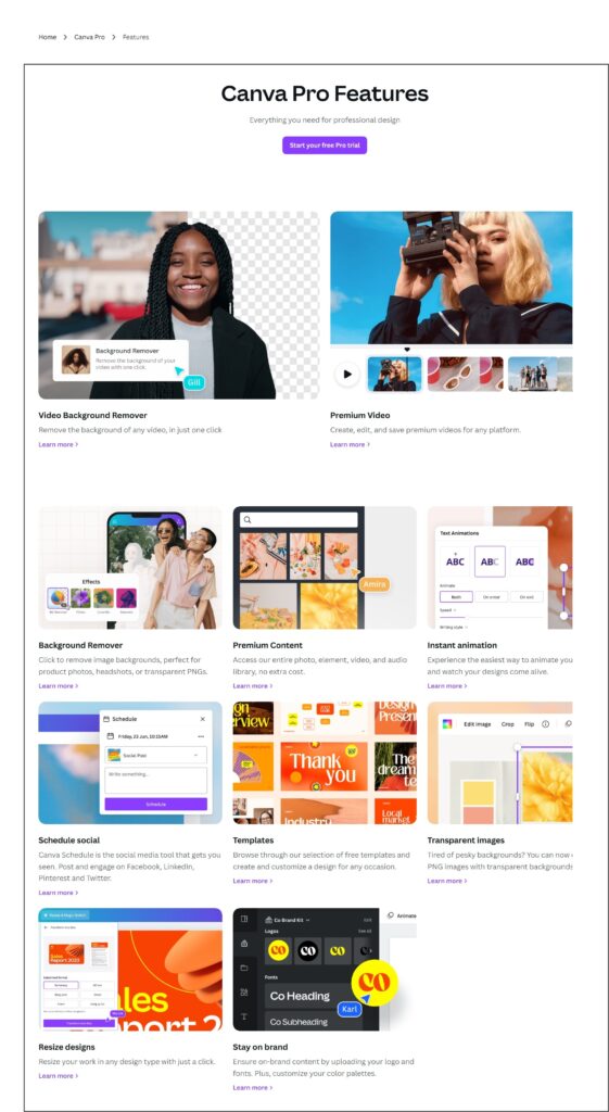 Canva Pro advanced design tools and premium stock library