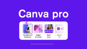 Canva Pro decorative images